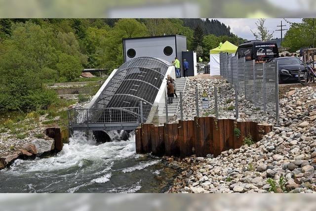 Stöcker macht sich für kleine Wasserkraftwerke stark