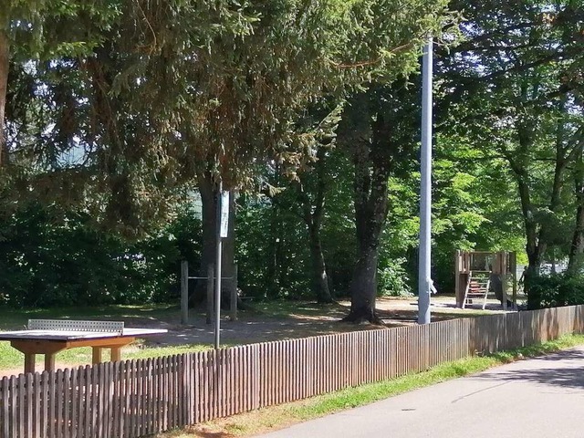 Auf dem linken Teil (etwa der Hlfte) ... in der Hhe der zwei Bume beim Reck.  | Foto: Sylvia Sredniawa