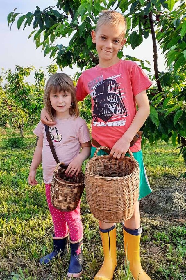 Zisch-Reporter Urban Henninger mit seiner Schwester Lioba bei der Kirschernte  | Foto: privat