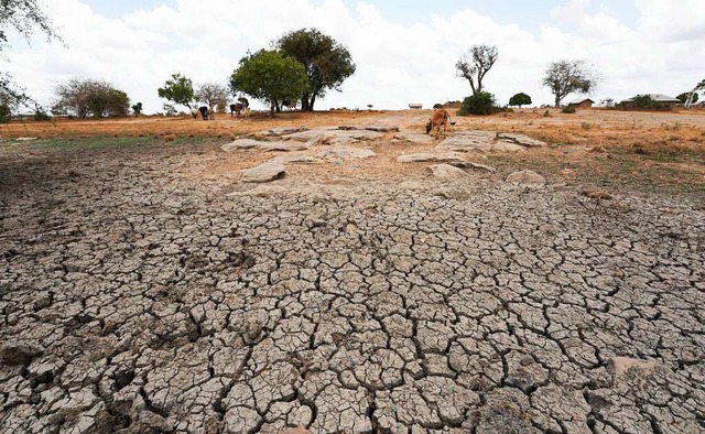 Die Klimakrise gehrt zu den groen He...sucht, wird immer unwahrscheinlicher.   | Foto: Dong Jianghui (dpa)