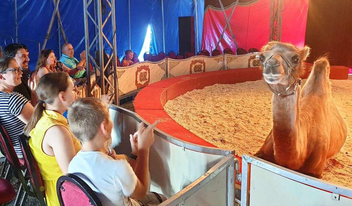 Zirkus Rudolf Renz gastiert in TitiseeNeustadt mit Tieren und Artisten TitiseeNeustadt