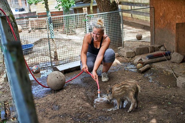 Mitarbeiterin Nevenka hilft einmal in der Woche beim Versorgen der Tiere.  | Foto: Michael Bode
