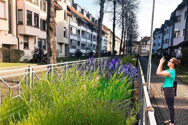 Anwohner sind von Kanal-Begrünung in Schopfheim enttäuscht