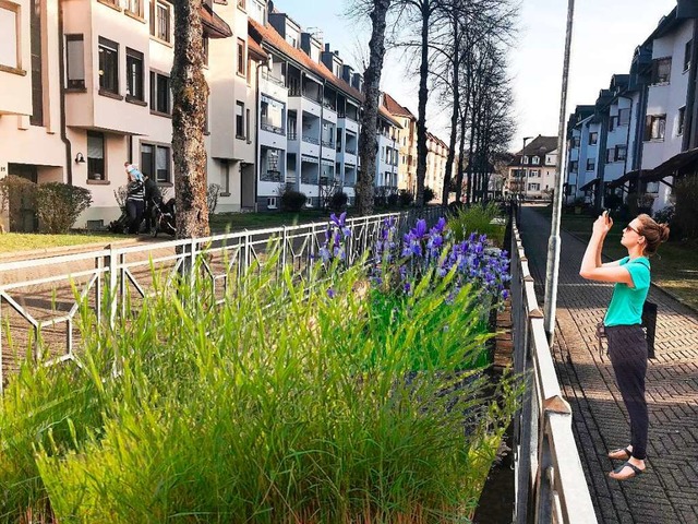 Der Gemeinderat hat diese von der Stad... wird wasserdurchlssig und bepflanzt.  | Foto: Stadt Schopfheim