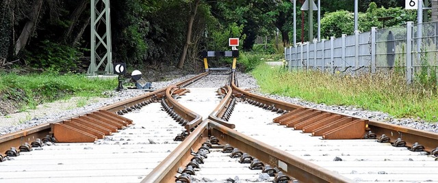 Das Gleisende in Breisach: Hier soll es nach Colmar weitergehen.  | Foto: Markus Zimmermann