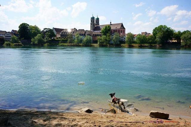 BZ-Check Hochrhein/Hotzenwald