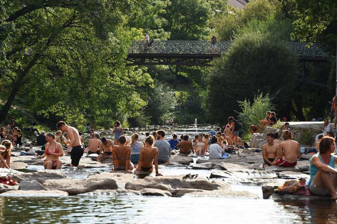Die Dreisam bietet nicht nur an den Uf...auch im Fluss, wie an der Fischtreppe.  | Foto: Rita Eggstein