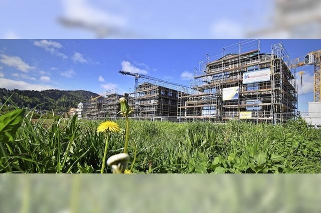 Preise auf dem Freiburger Immobilienmarkt gehen weiter nach oben