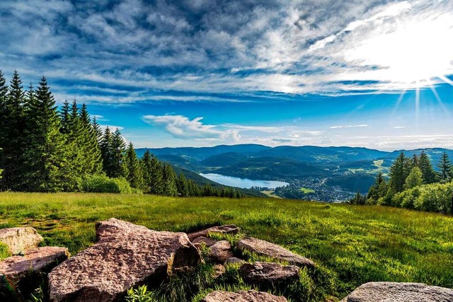 Blick vom Neustdter Hochfirst auf den Titisee  | Foto: HTG