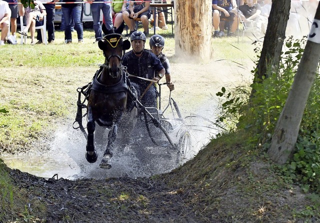 Konzentration ist fr den Gespannlenke...ektakulren Kurs in Ottenheim wichtig.  | Foto: Wolfgang Knstle