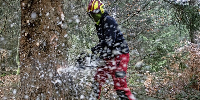 In Ettenheimmnster werden seit 40 Jahren Waldarbeiter ausgebildet.   | Foto: Swen Pfrtner