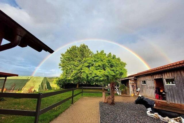 Juni-Regenbogen ber Friesenheim