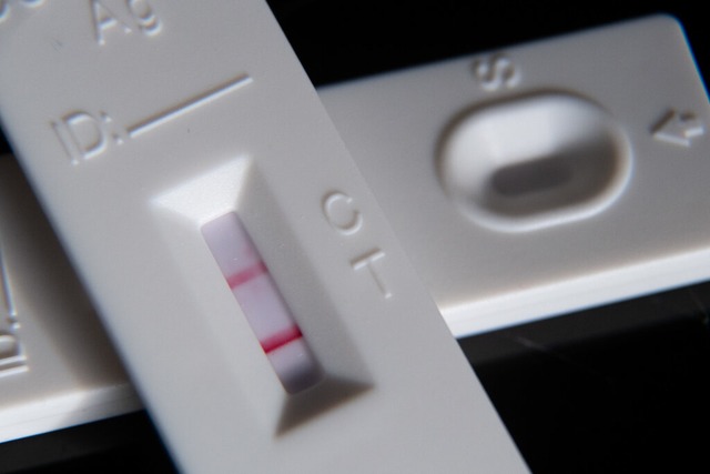 Viele Schnelltests sind derzeit positiv, nicht alle werden PCR-besttigt.  | Foto: Sebastian Gollnow (dpa)
