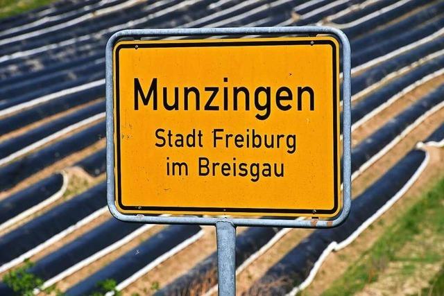 Räte von Freiburg-Munzingen könnten sich Verbundschule auch in zwei Schritten vorstellen