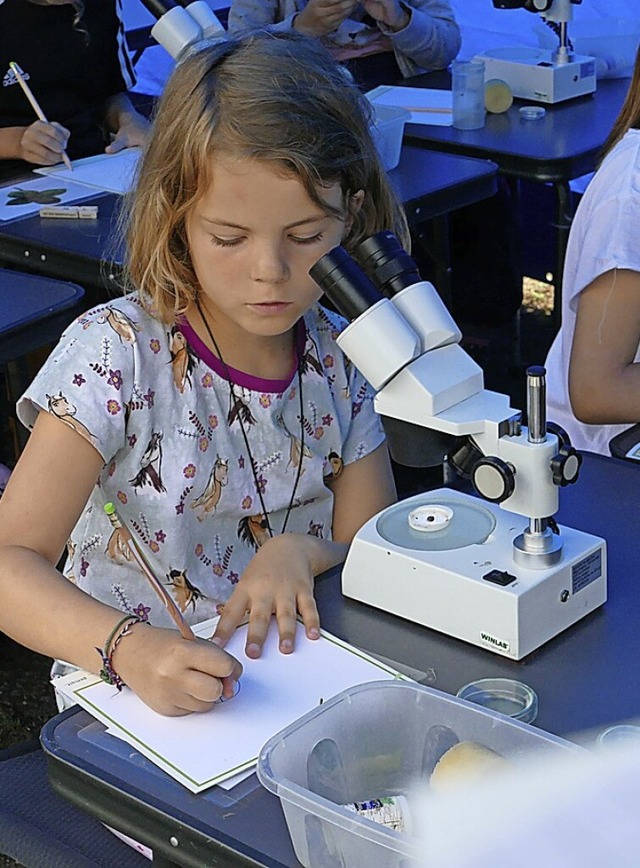 komobil in der Eichendorffschule: Kinder entdecken das Leben im Wald.  | Foto: Martina David-Wenk