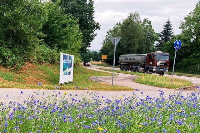 Blumenwiese bei der Einfahrt ins Industriegebiet Hemmet in Wehr  | Foto: Annemarie Rsch