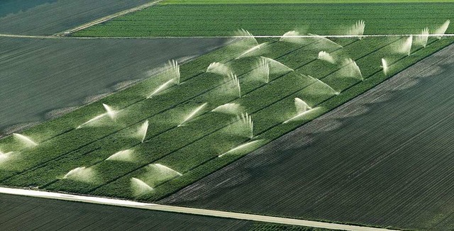 Wenn die Trockenheit zunimmt, bentige...Felder in der Rheinebene mehr Wasser.   | Foto: Manfred Grohe