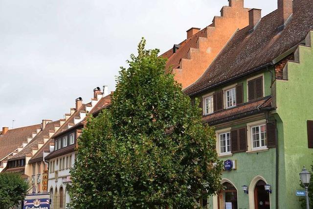 Photovoltaikanlagen sind knftig auch in der Lffinger Altstadt erlaubt