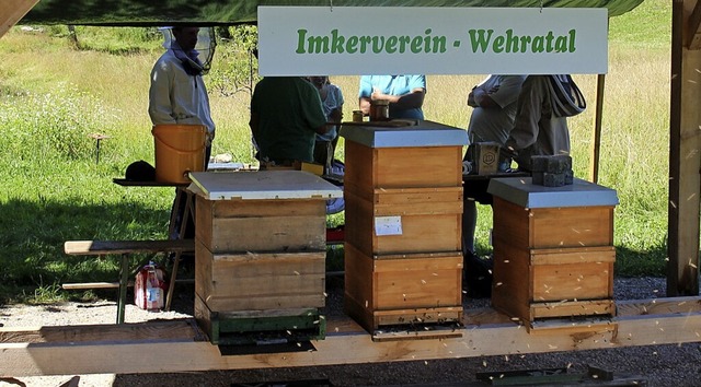 Der Bienenzuchtverein &#8222;Wehratal&...hat sich einen Lehrbienenstand gebaut.  | Foto: Hansjrg Bader