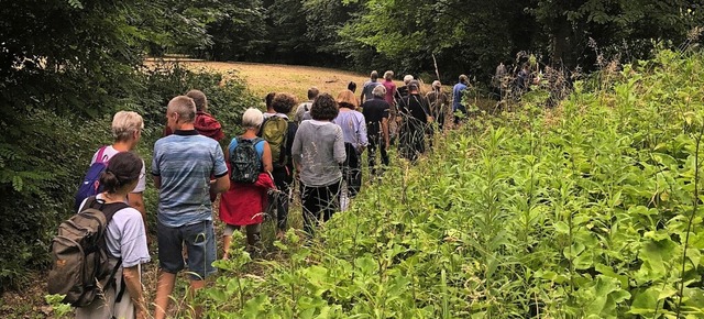 <BZ-FotoAnlauf>Grne Staufen-Mnsterta...nlauf> Waldspaziergang mit dem Frster  | Foto: Bndnis 90/Die Grnen OV Staufen-Mnstertal