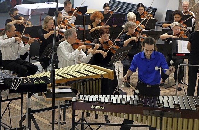 Das Oberrheinische Sinfonieorchester  ...20; von Willi Vogl aus der Klangtaufe.  | Foto: Roswitha Frey