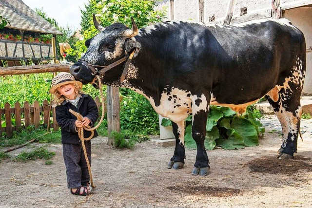 Tiere vom Bauernhof, mitten im Dorf im Ecomuse d&#8217;Alsace  | Foto: La Focale de Soultz (Ecomuse)