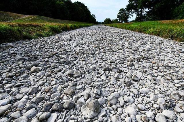 Was Freiburgs Klimaexpertin der steigenden Hitze entgegensetzen will