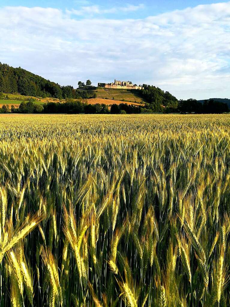 Morgenstimmung vor der Hochburg