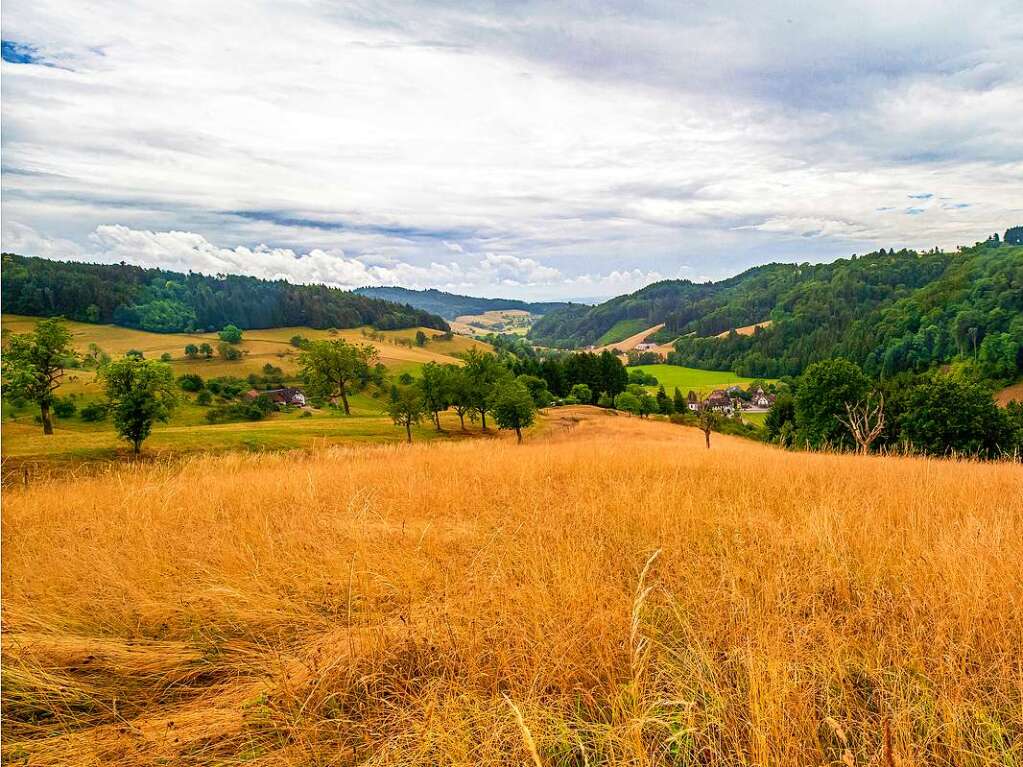 Fast wie in der Prrie erscheint der Blick vom Spielberg hinab nach Freiamt-Reichenbach.