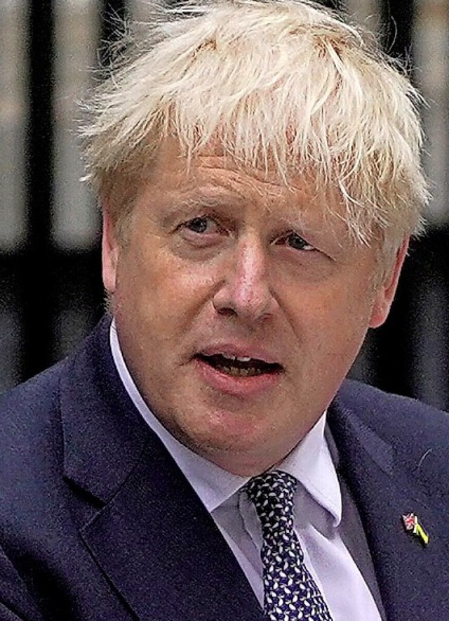 Boris Johnson  | Foto: NIKLAS HALLE'N (AFP)