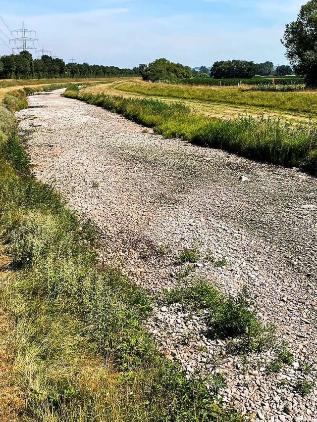 Ohne Wasser: Die ausgetrocknete Dreisam unterhalb von  Neuershausen.  | Foto: Hans-Jrgen Trul