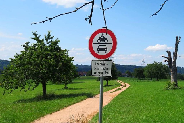 Die Grundstcke fr das Baugebiet Bhl...ch sollen von 2025 an vergeben werden.  | Foto: Peter Gerigk