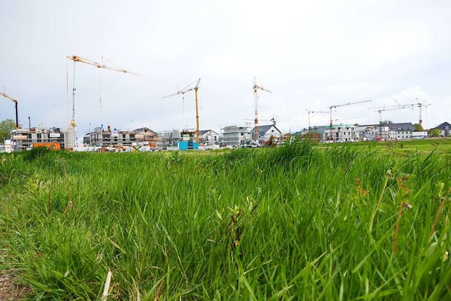 In der Nachbarschaft wird schon fleii...ubaugebiet Vogesenstrae III umgraben.  | Foto: Stefan Ammann