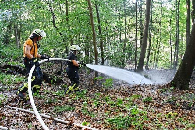 Lagerfeuer in Lahr gert auer Kontrolle