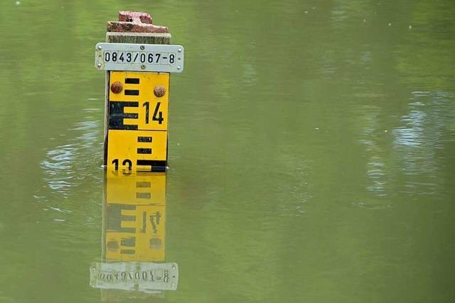 Der Hochwasserschutz am Rhein und die Folgen