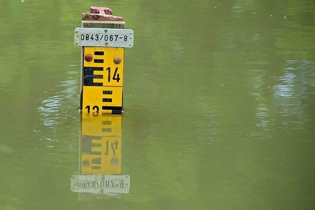 Hochwassernotgemeinschaft Rhein fordert mehr Anstrengungen beim Hochwasserschutz