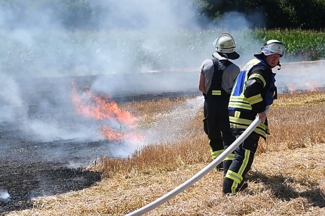 In Kippenheimweiler lschte die Feuerwehr einen Brand auf einem Feld.  | Foto: Wolfgang Knstle