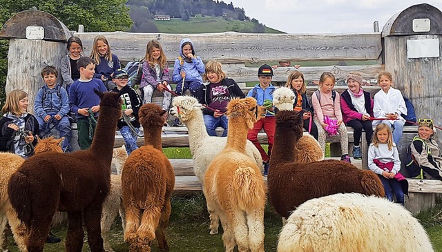 Das hat Spa gemacht: Die Familienklas...dschule Gersbach unterwegs mit Alpakas  | Foto: privat
