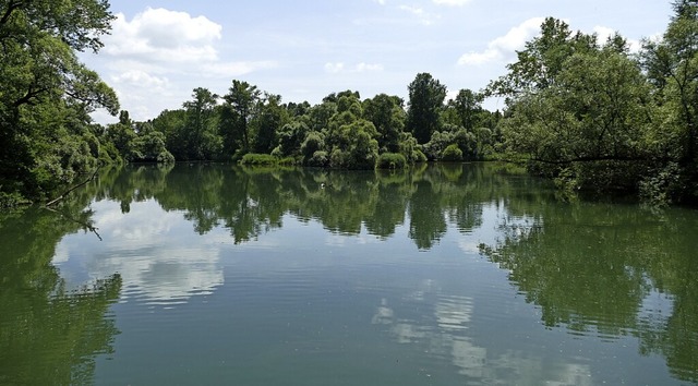 Das Naturschutzgebiet Taubergieen bei Kappel-Grafenhausen  | Foto: Silke Kohlmann