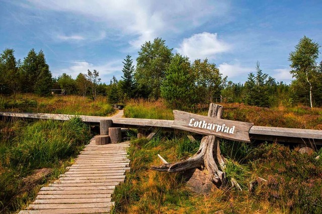 Der Lotharpfad im Nationalpark ist ein beliebtes Ziel bei Touristen.  | Foto:  via www.imago-images.de