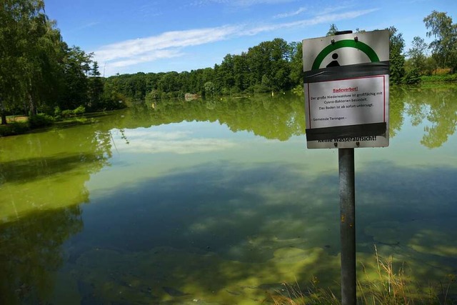 Wegen der Cyano-Bakterien, die im Wass...dringer Baggersee ab sofort untersagt.  | Foto: Michael Strter