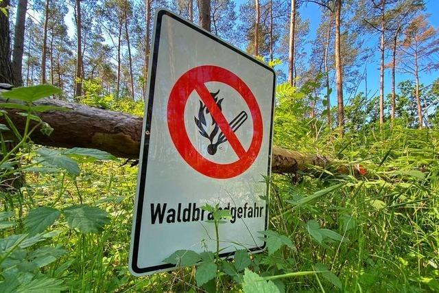 Waldbrandgefahr hchster Stufe im Kreis Breisgau-Hochschwarzwald