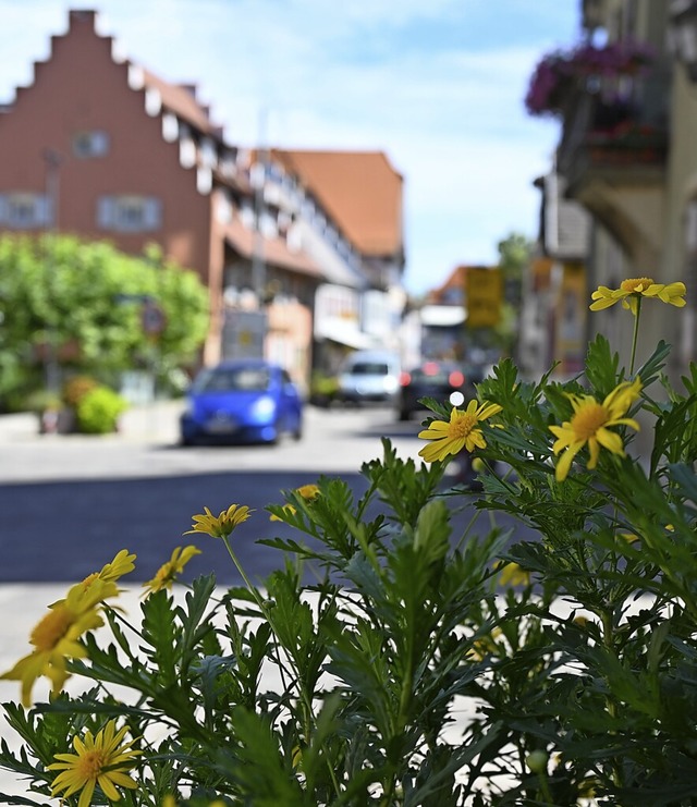 Durch die Sanierung sind die Grundstc...r Basler Strae, wertvoller geworden.   | Foto: Hans-Peter Mller