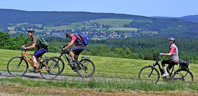 Erste Teilnahme und im Landkreis Walds...nen in dieser Dreiergruppe locker mit.  | Foto: Wolfgang Scheu