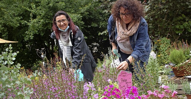 Jede Menge Auswahl an Pflanzen haben Besucher auf der Diga in Beuggen.  | Foto: Petra Wunderle