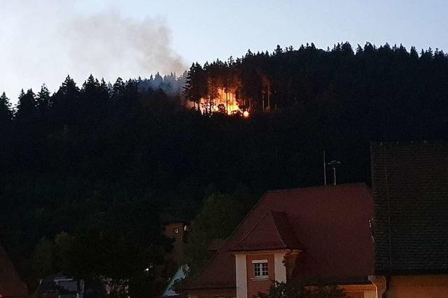 Im Freiburger Wald droht Brandgefahr