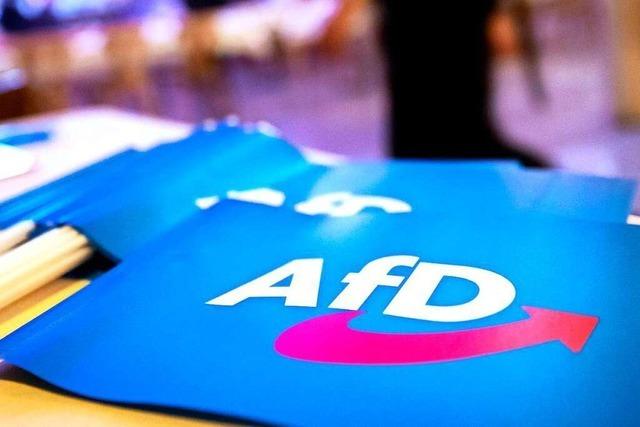 Verfassungsschtzer beobachten die AfD in Baden-Wrttemberg