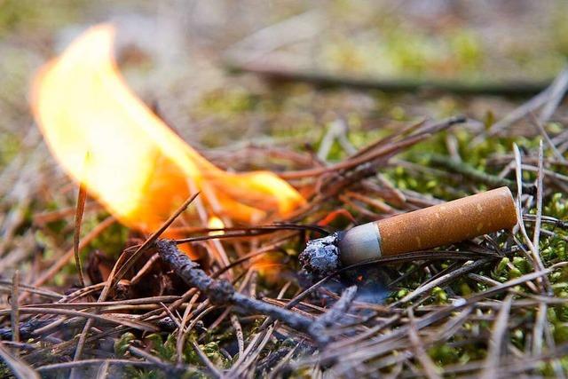 Der Kreis Lörrach warnt vor sehr hoher Waldbrandgefahr