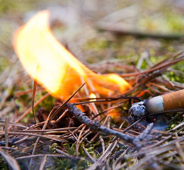 Es ist wichtig, keine glimmenden Zigaretten wegzuwerfen  | Foto: Patrick Pleul