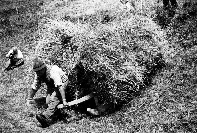 Heuernte mit dem Holzschlitten  | Foto:  Heimat- und Landschaftspflegeverein Yach e.V.